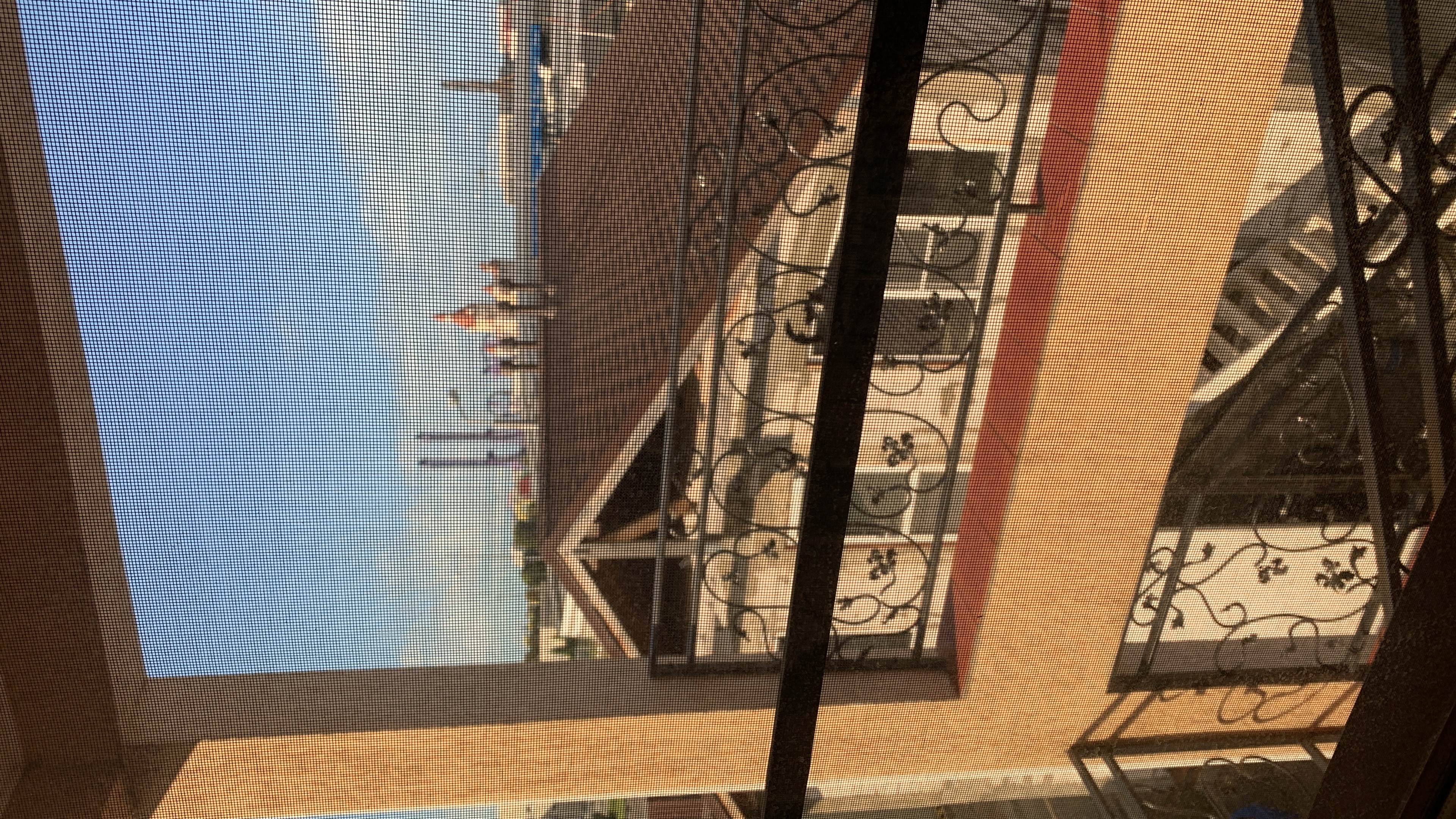 Фото Амалия