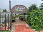 Садовый центр (ploshchad Lenina, 13), garden center