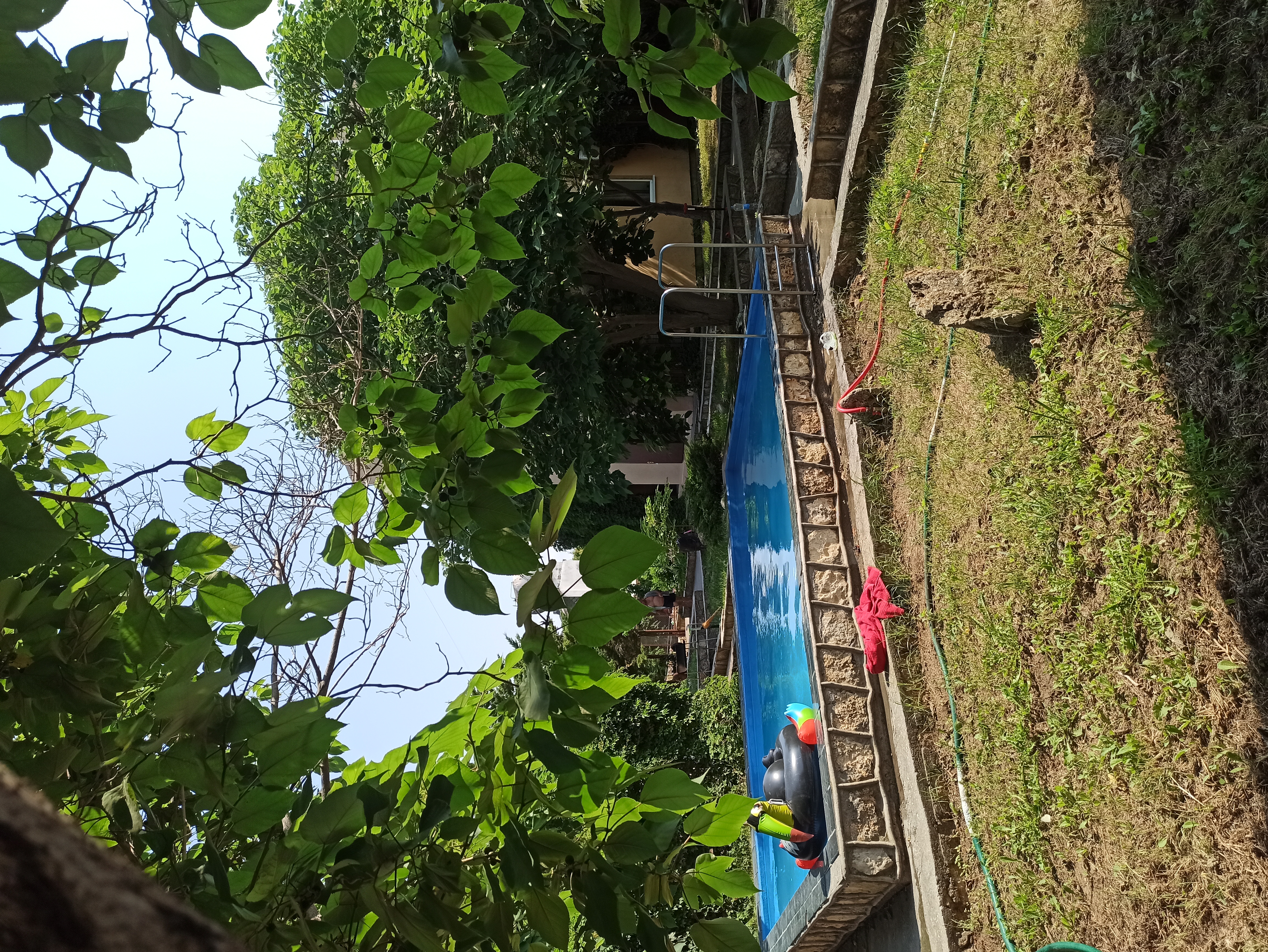 Фото Катран