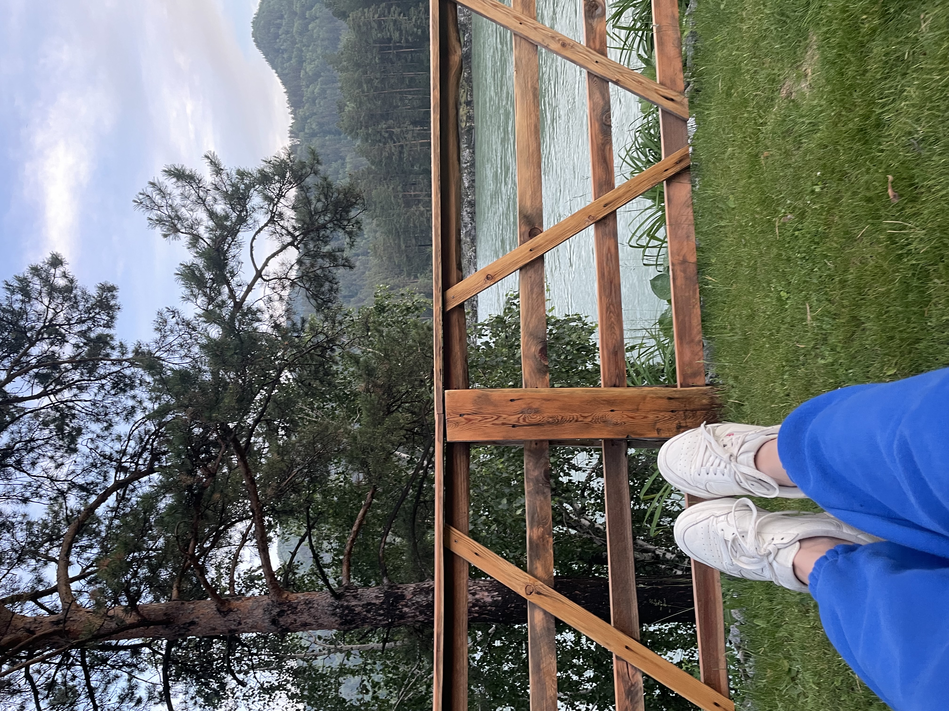 Фото Альбатрос