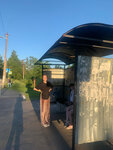 Лопухинка – Советская улица (Leningrad Region, Lomonosovskiy District, Lopukhinskoye selskoye poseleniye, derevnya Lopukhinka, ulitsa Mira), public transport stop