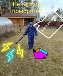 СДС Решение (Tashkentskaya Street, 154) ، التطهير وإزالة الطفيليات والآفات