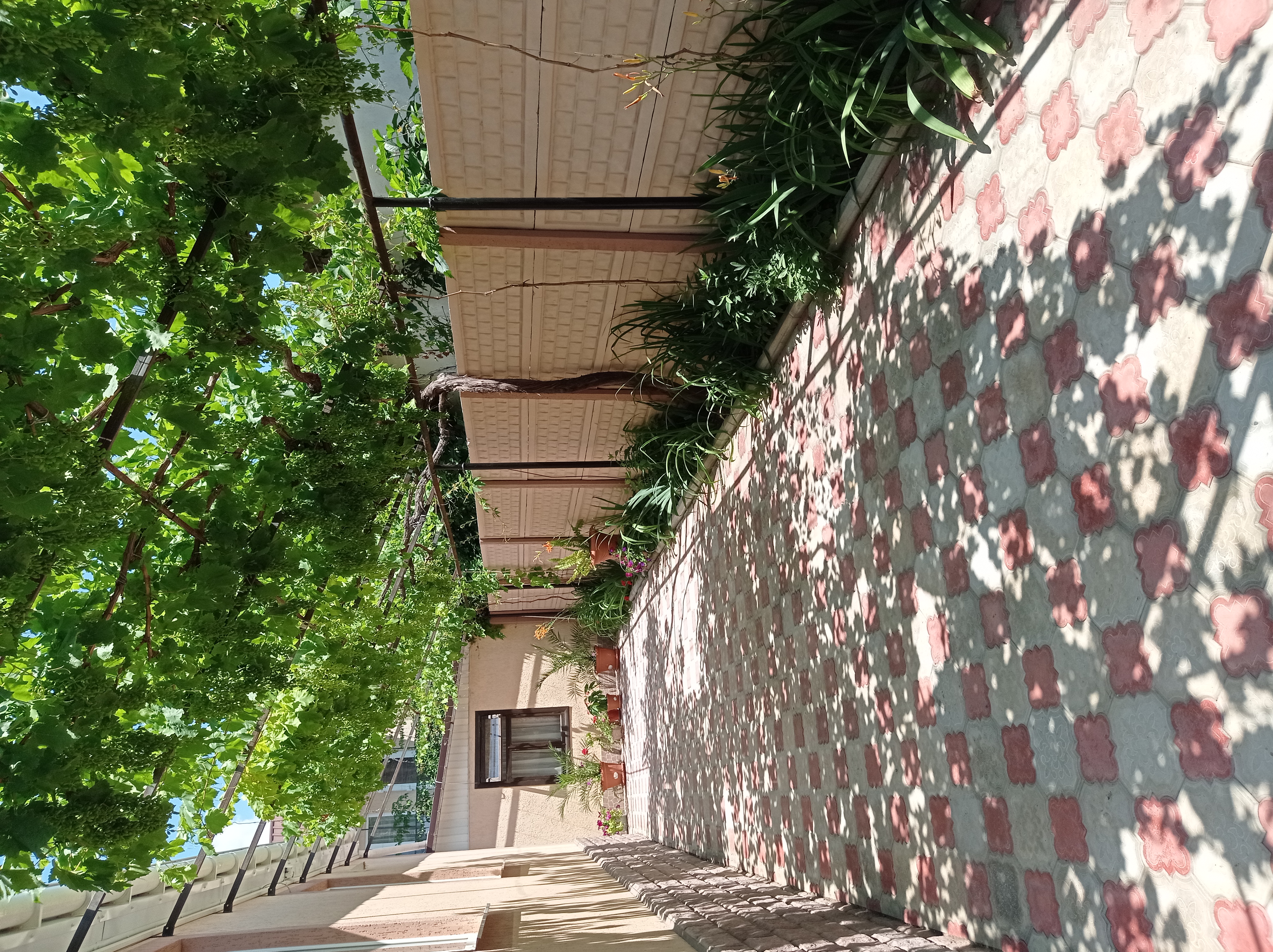 Фото У Татьяны