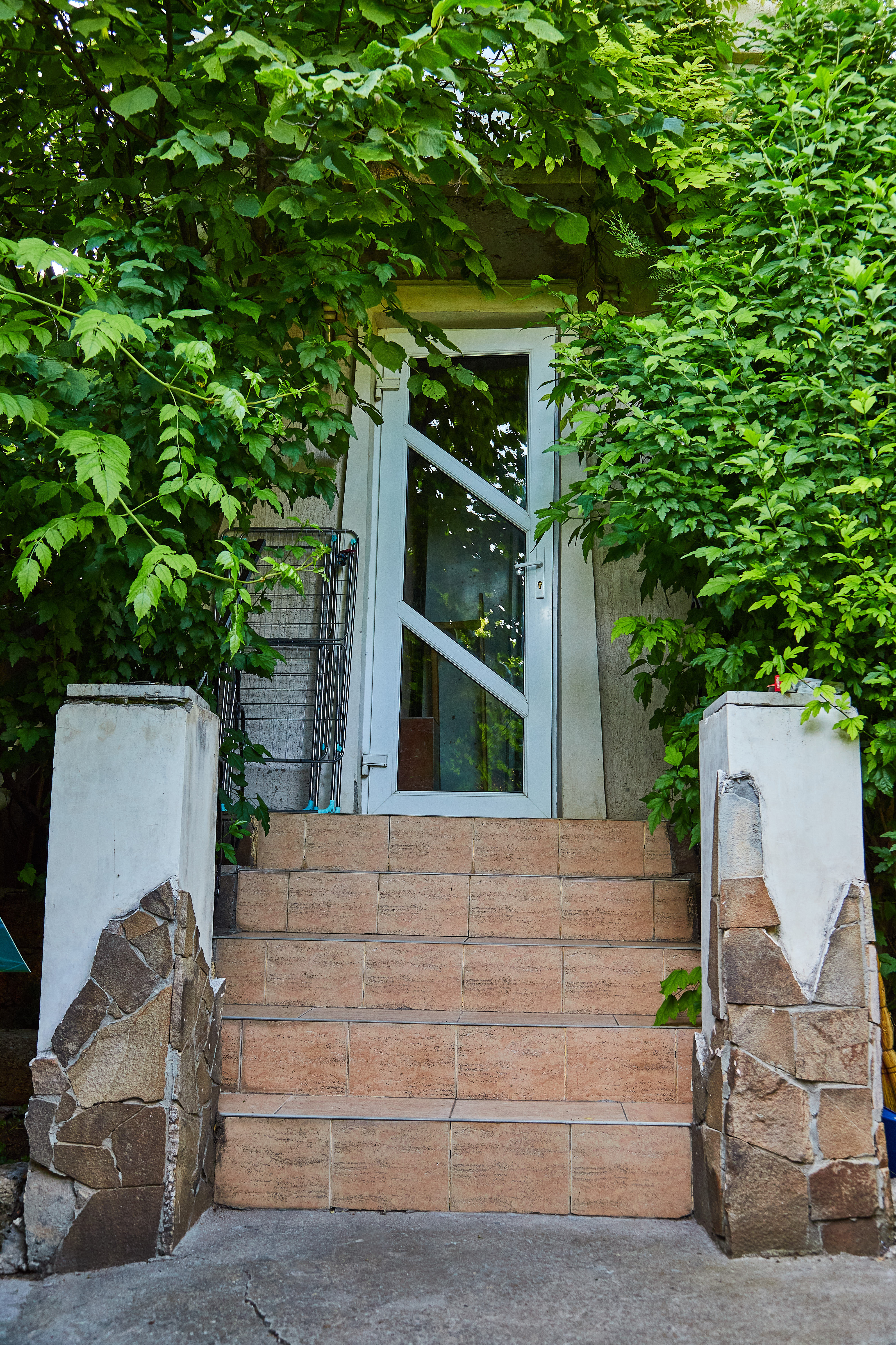 Фото Крымский Детокс