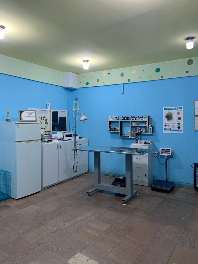 Veterinary clinic Help, Yerevan, photo