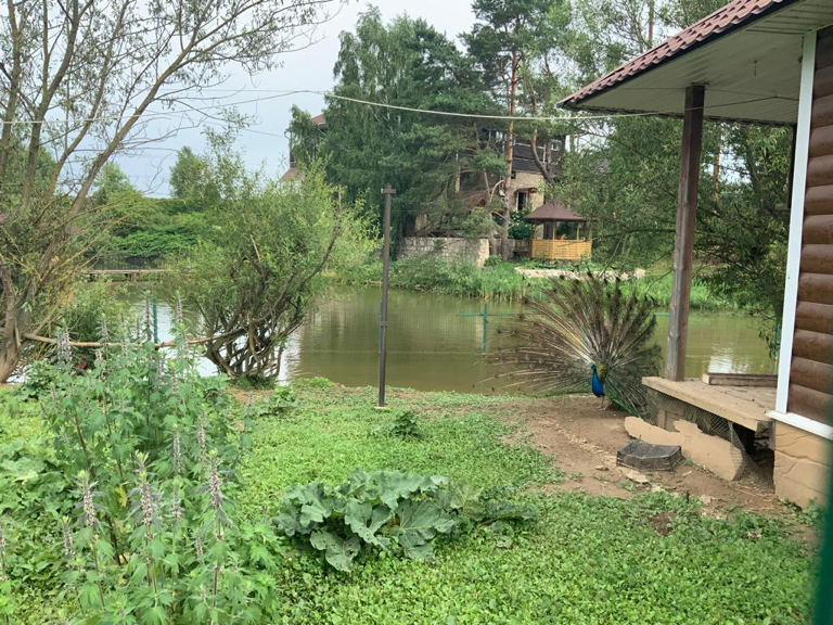 Фото Графские пруды