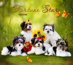 Kennel Biewers Fortune Star (Michurinsky Avenue, 56) ، مربي الحيوانات