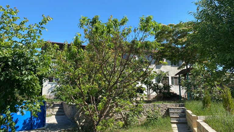 Фото Эллада крымская