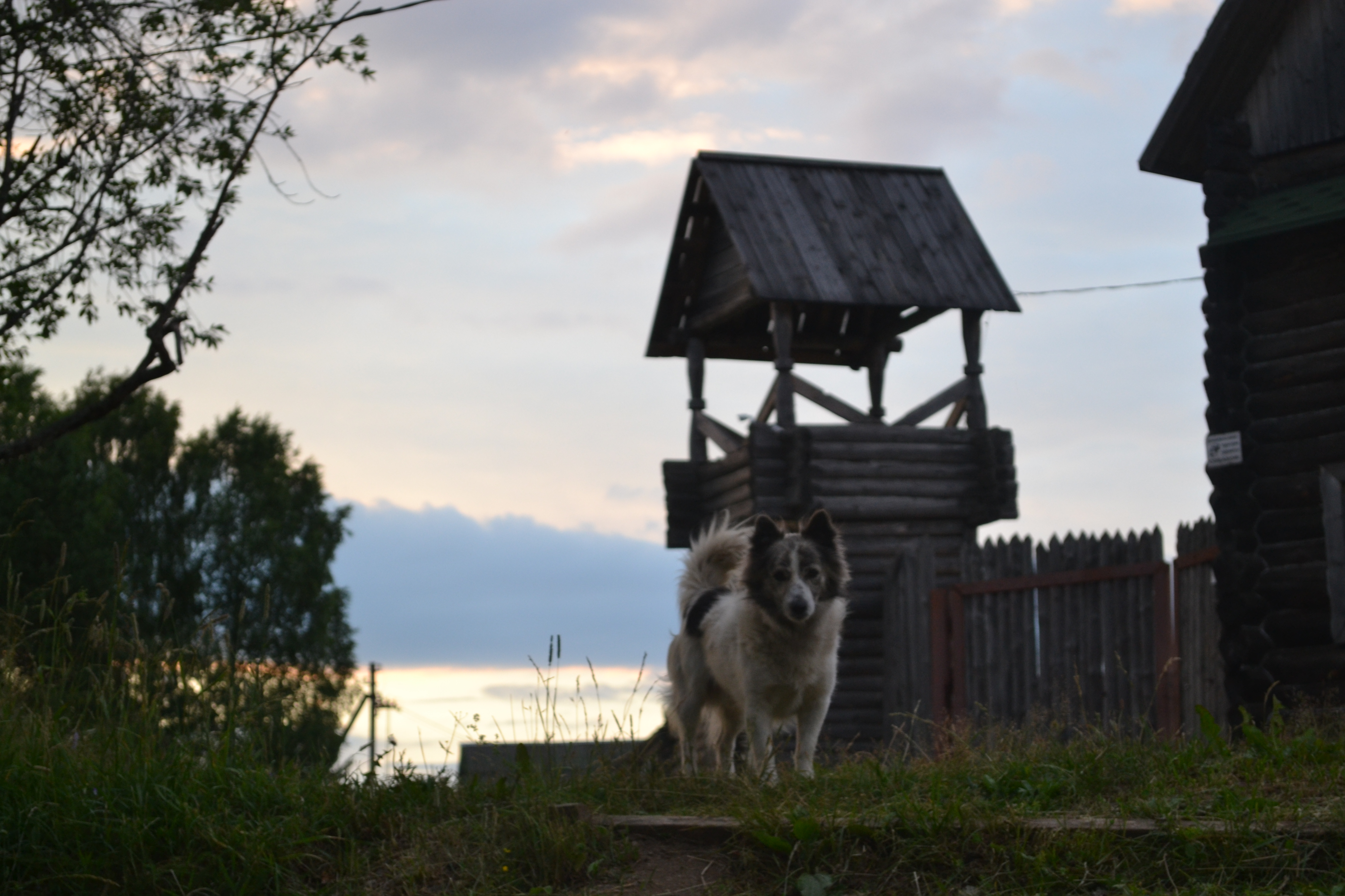 Фото Киногородок