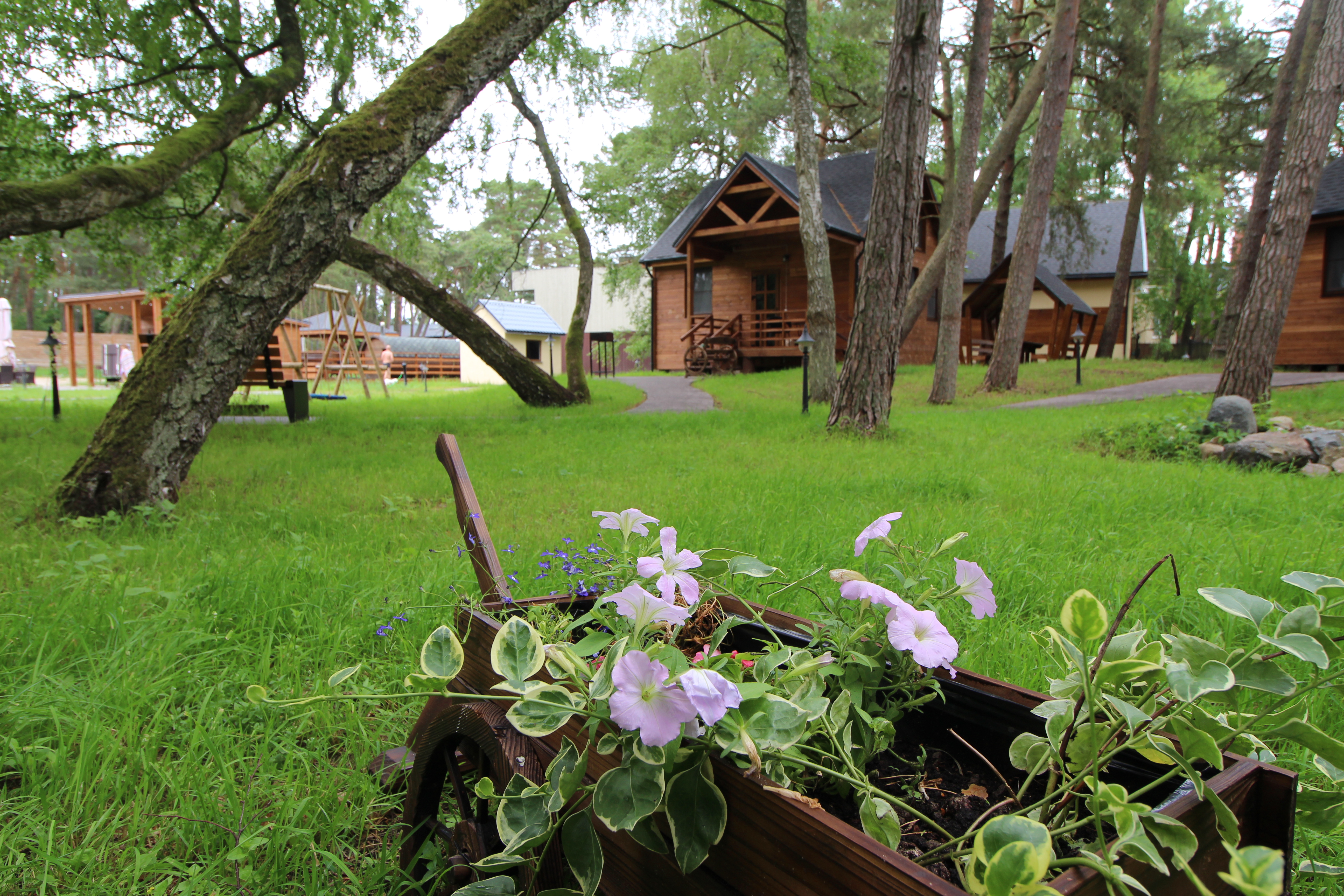 Фото Дом поэта