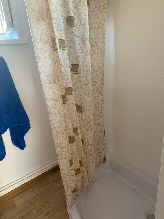 Фото Березка