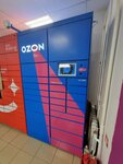 Ozon box (Tekhnicheskaya Street, 5/1) ، الطرود الآلي