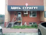 Здесь стригут (Ostrovskogo Street, 20), beauty salon