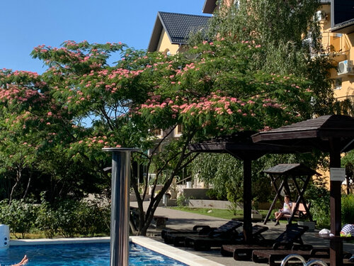 Гостиница Пансионат Анапа-Лазурная в Анапе