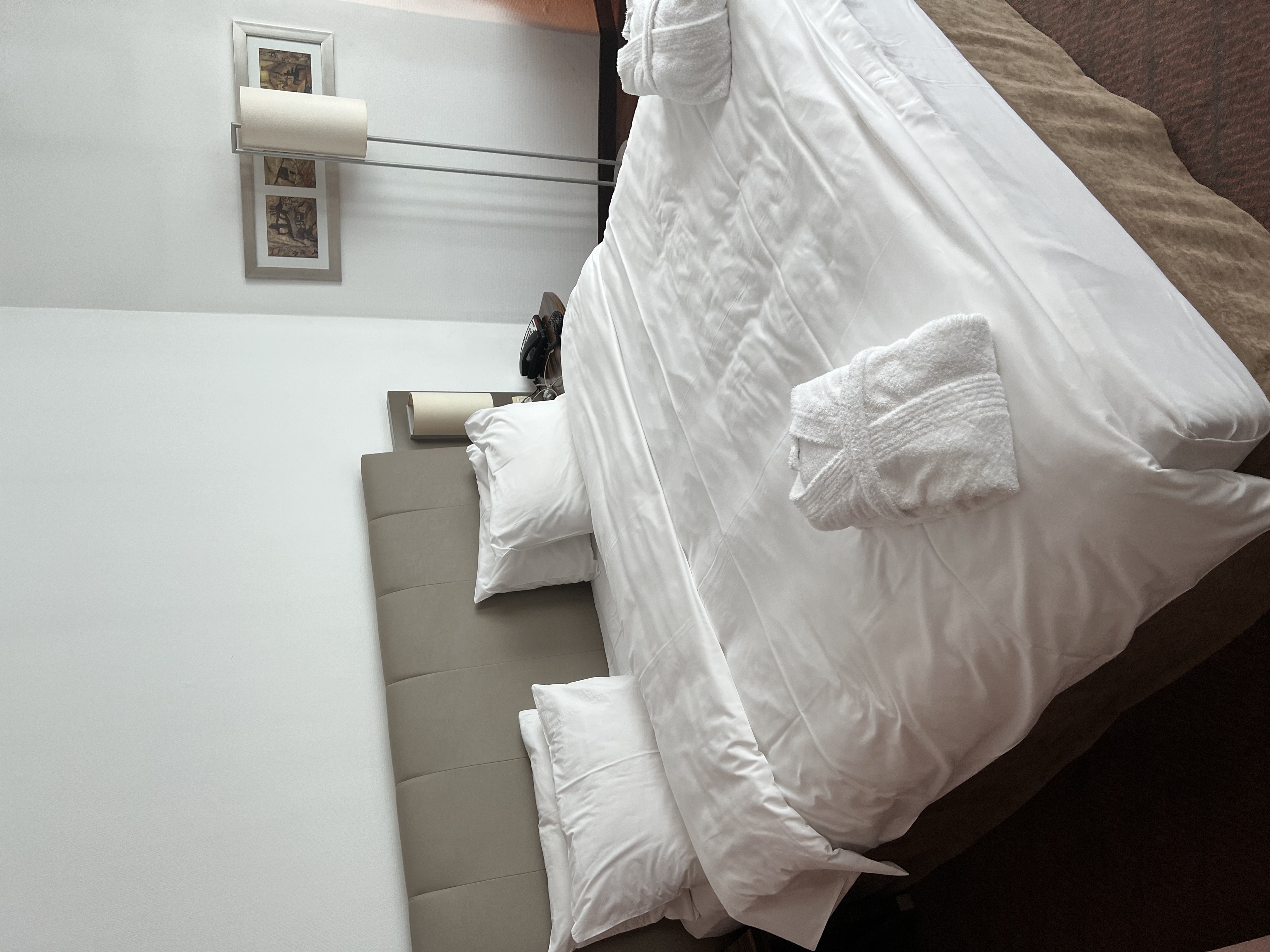 Фото Holiday Inn Almaty