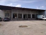 Форт Нокс (Aleksandra Matrosova Street, 30Л), dairy products wholesale