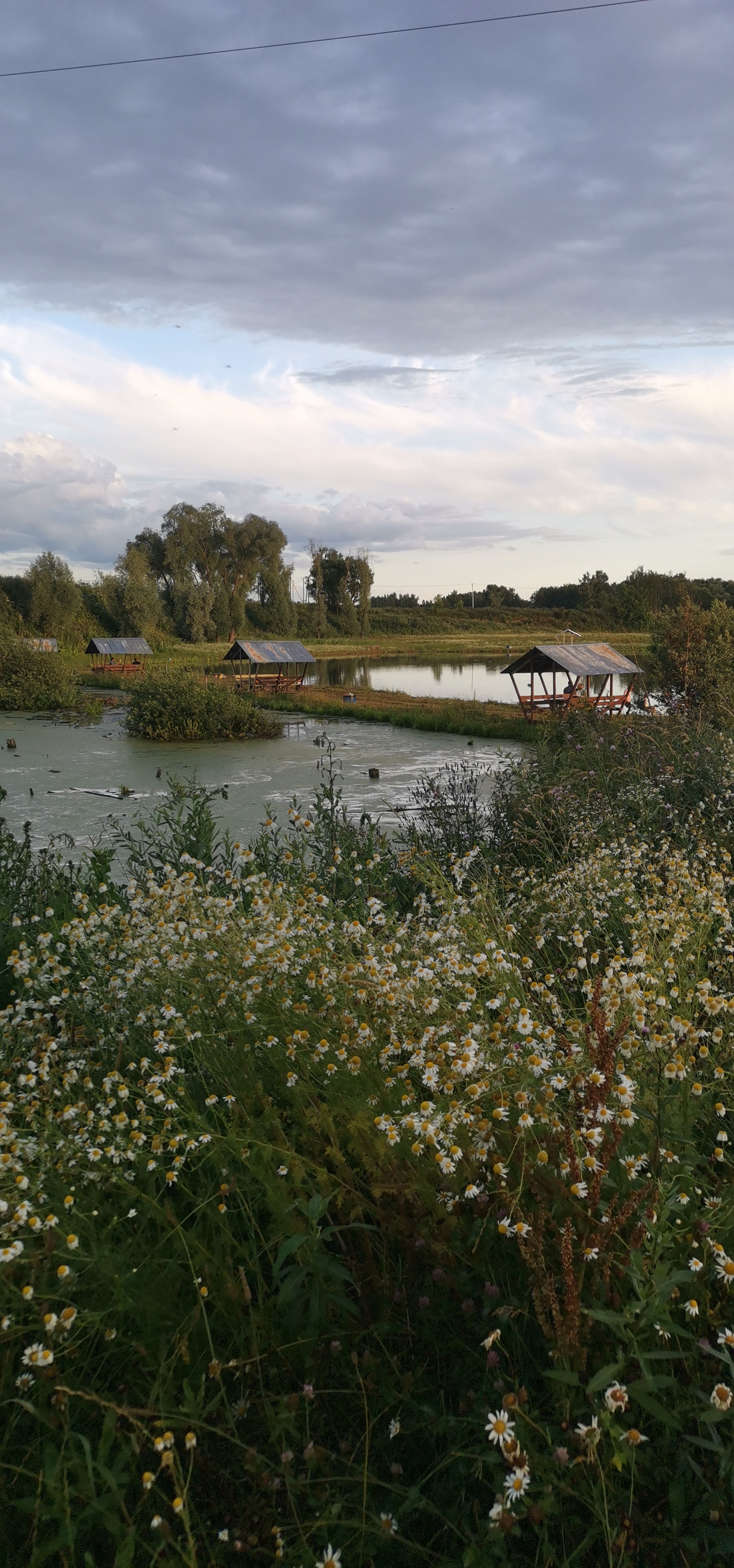 Фото Место клёва