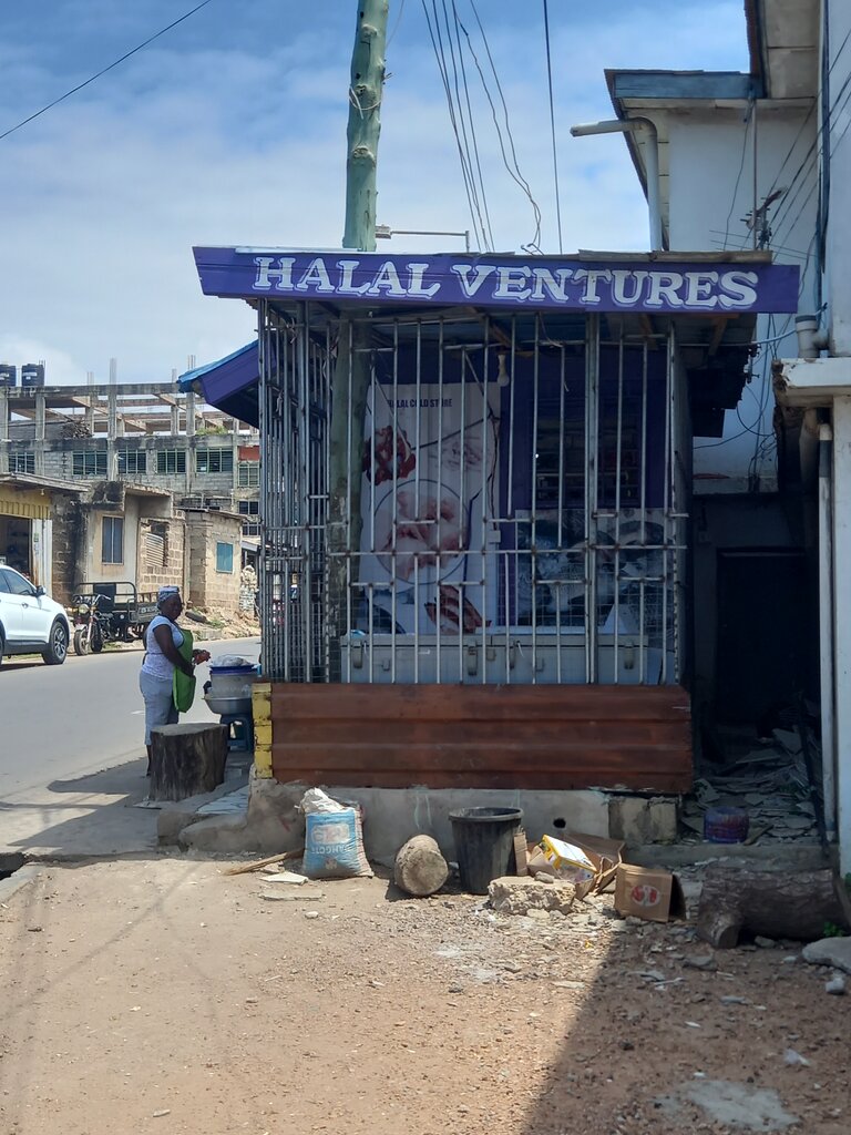 Frozen food products Halal ventures, Earth, photo