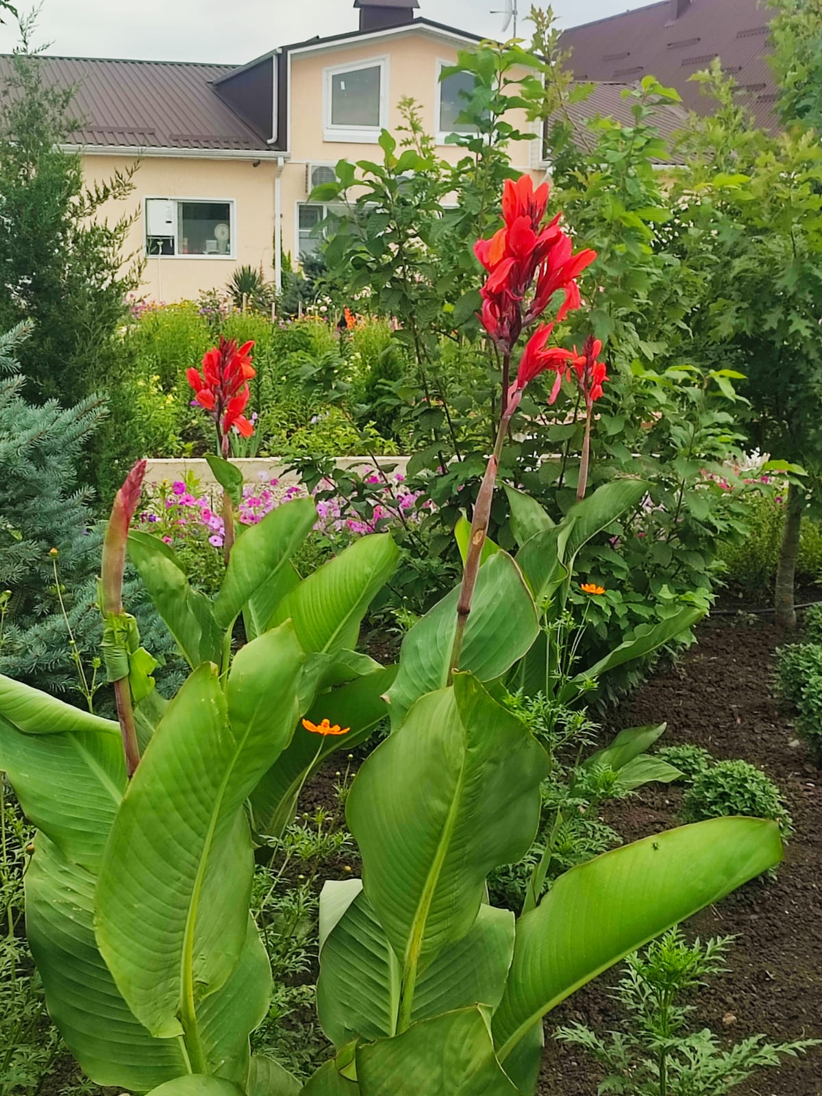 Фото Аква Тоника