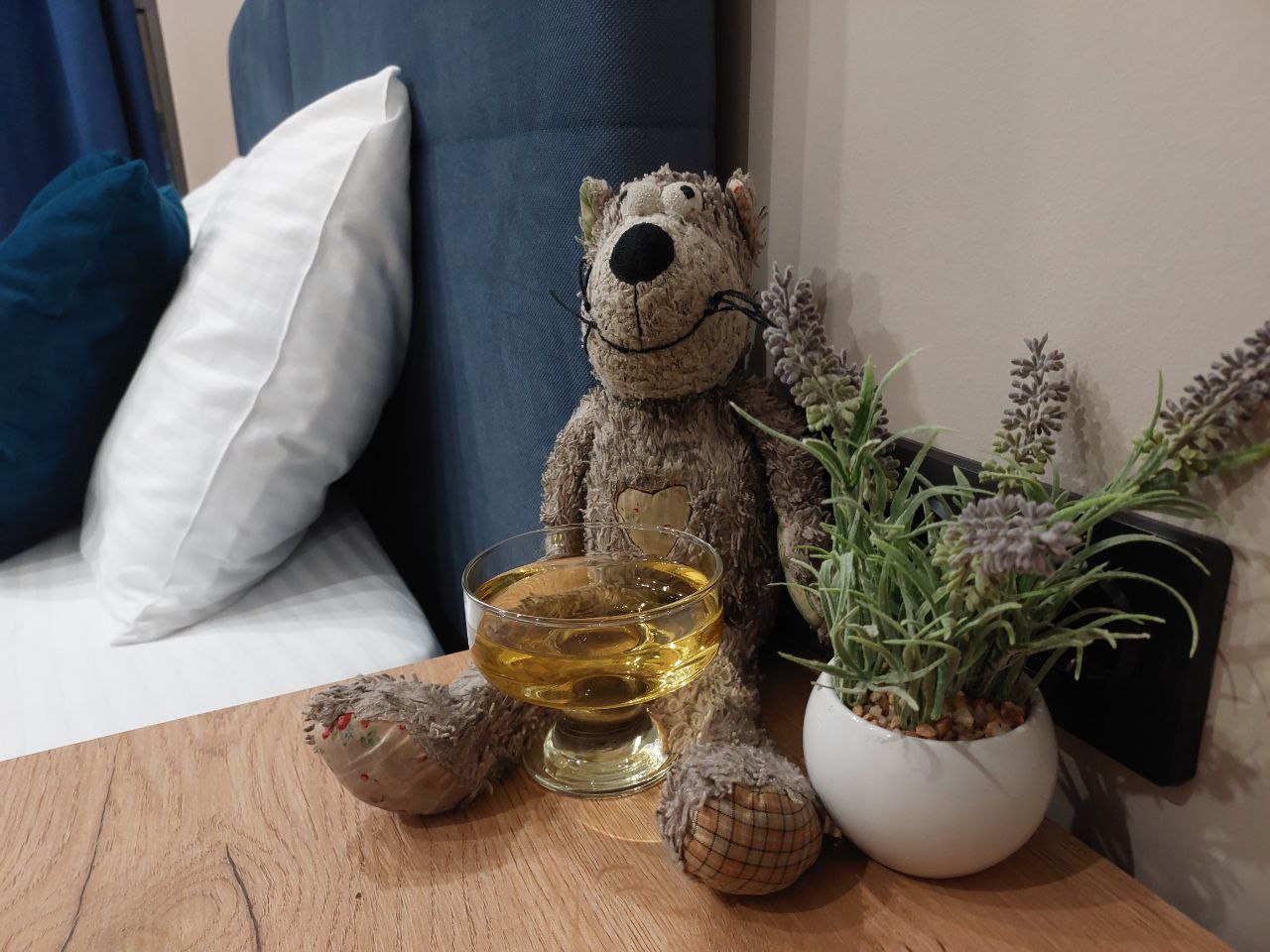 Фото Архитектор