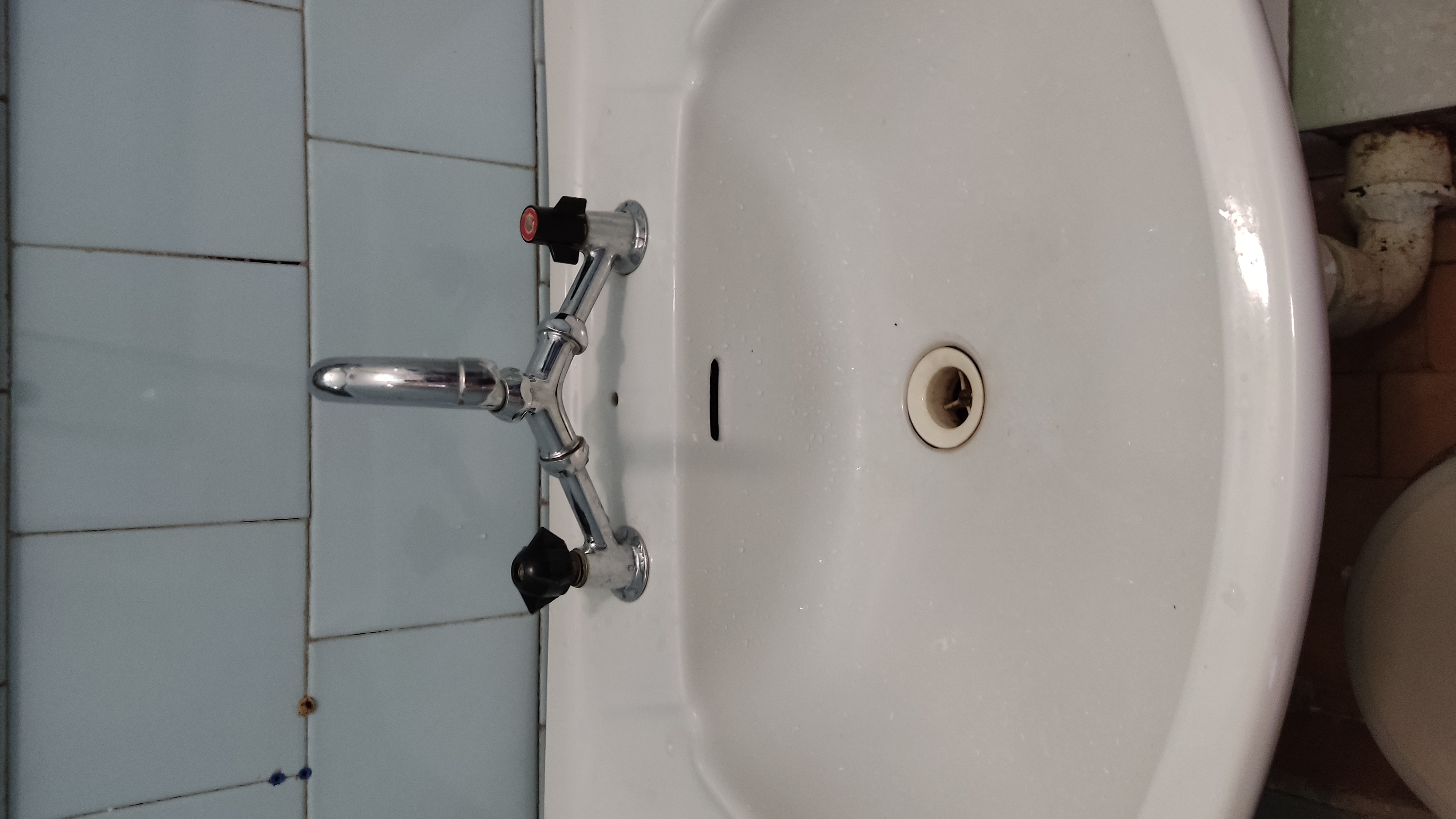 Фото Лесная