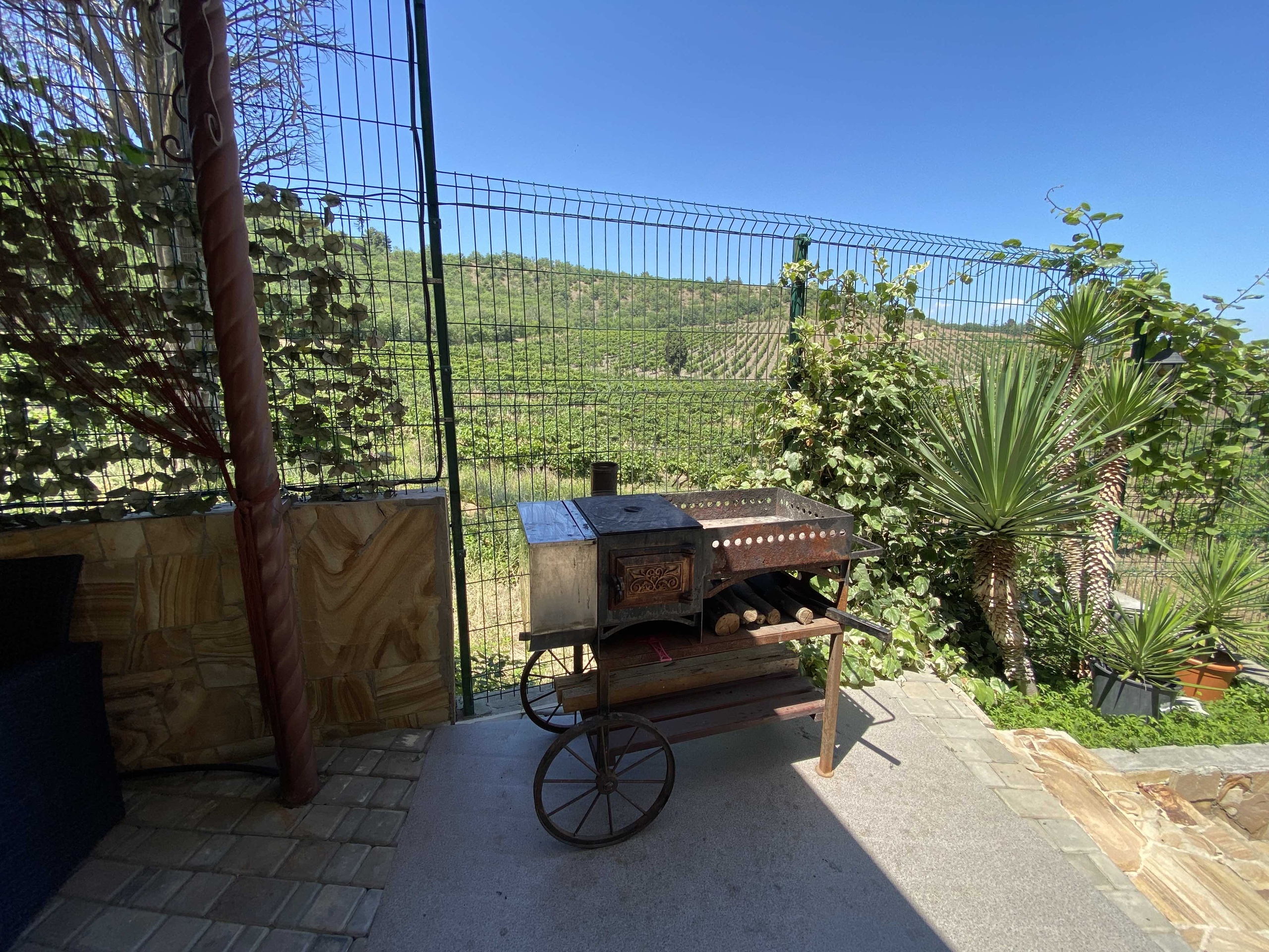 Фото Аннигора