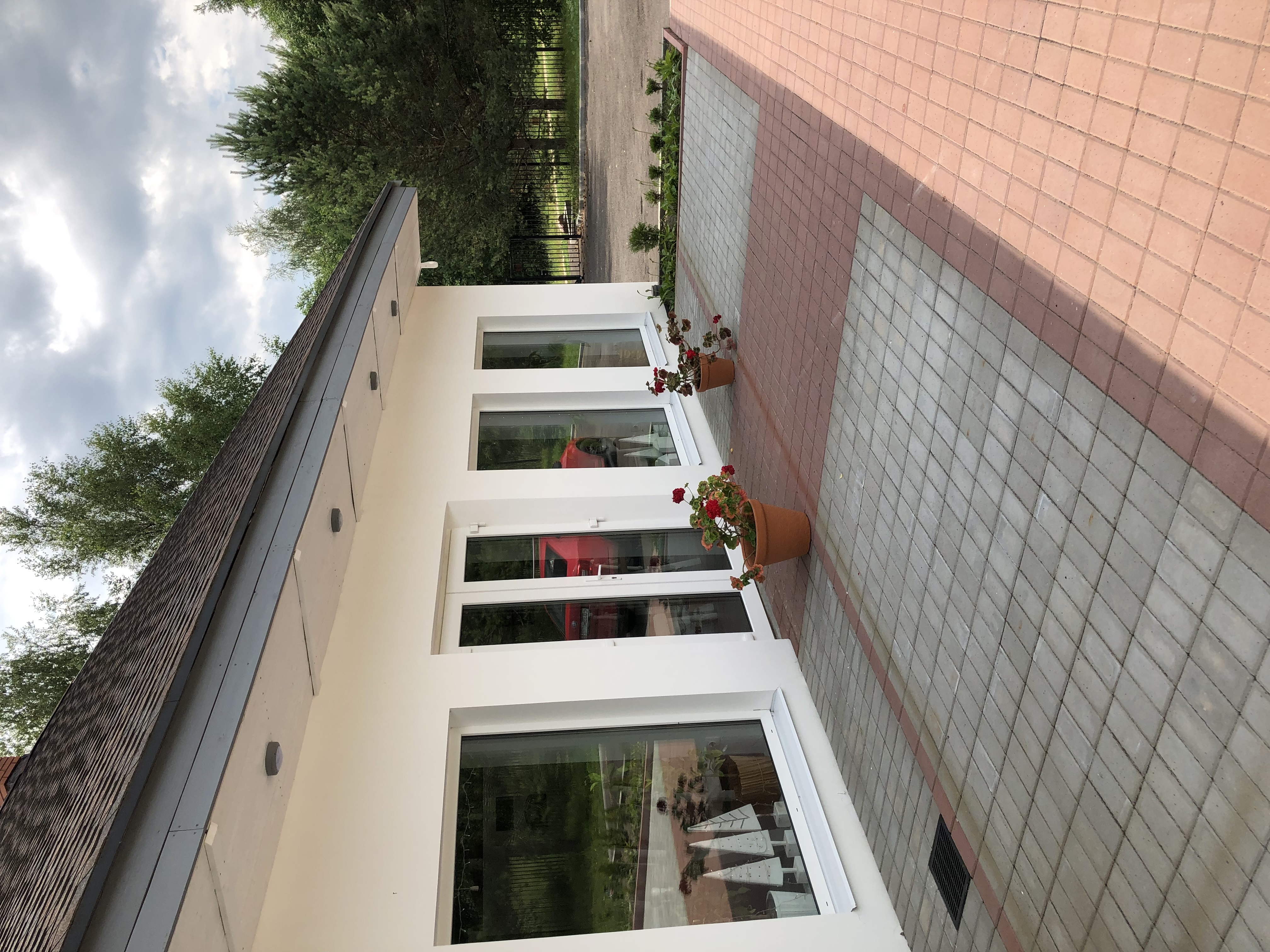 Фото Лосьпробежал