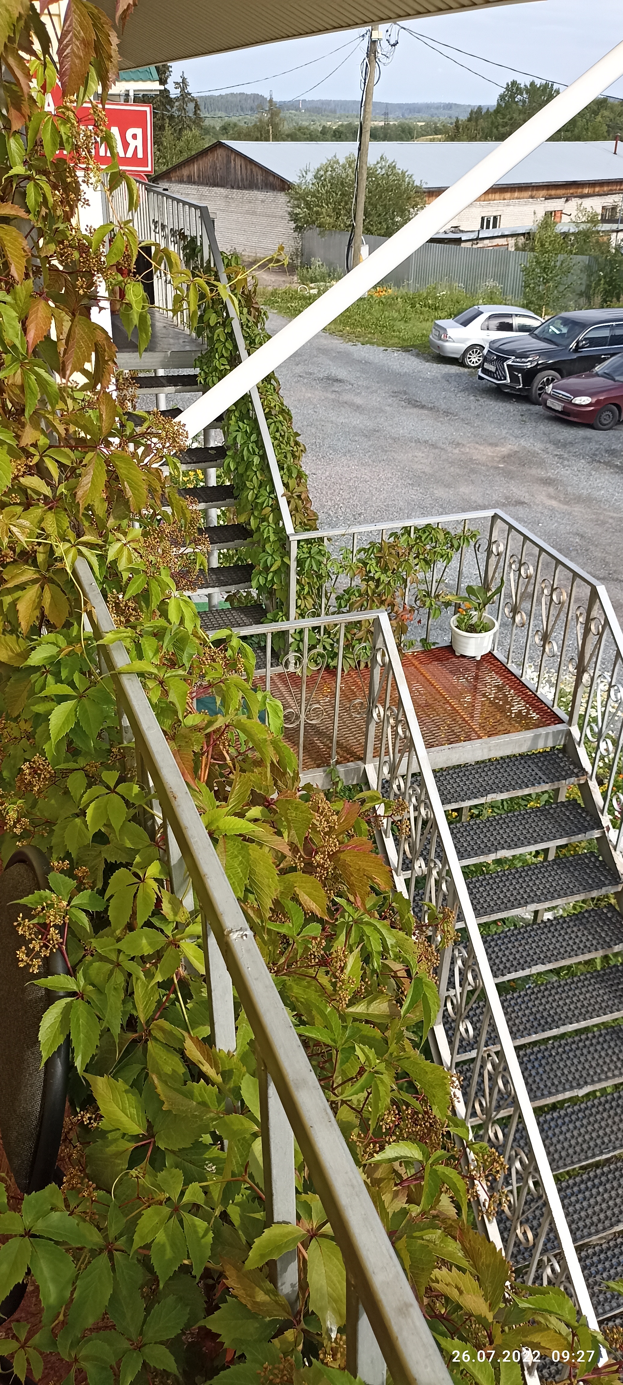 Фото Благодать