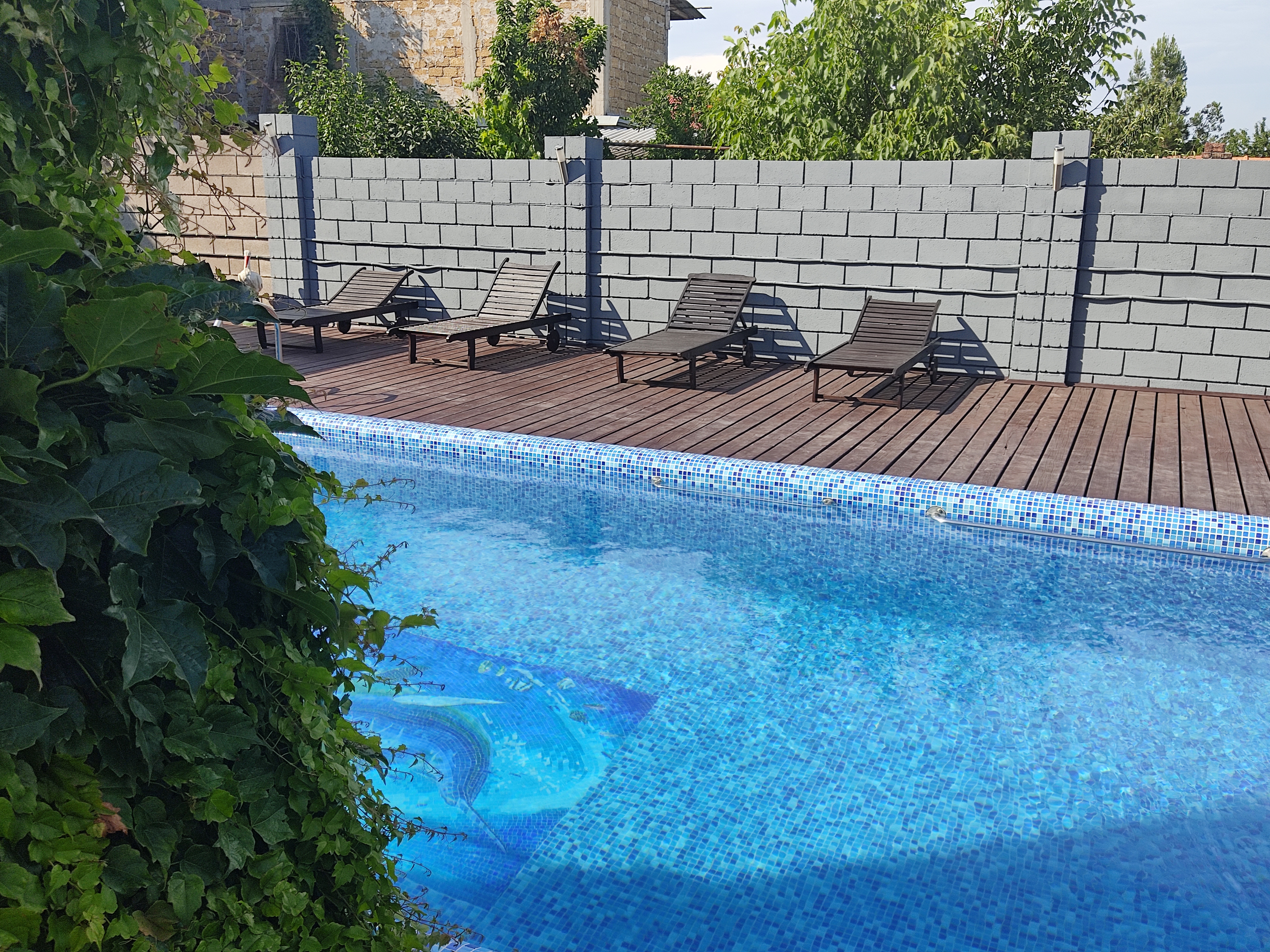 Фото Андромеда