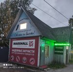 Автозапчасти (ул. Победы, 28А), магазин автозапчастей и автотоваров в Светогорске