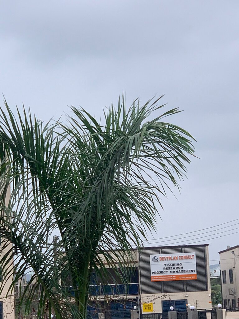 Training Dev’t Plan Consult, Earth, photo