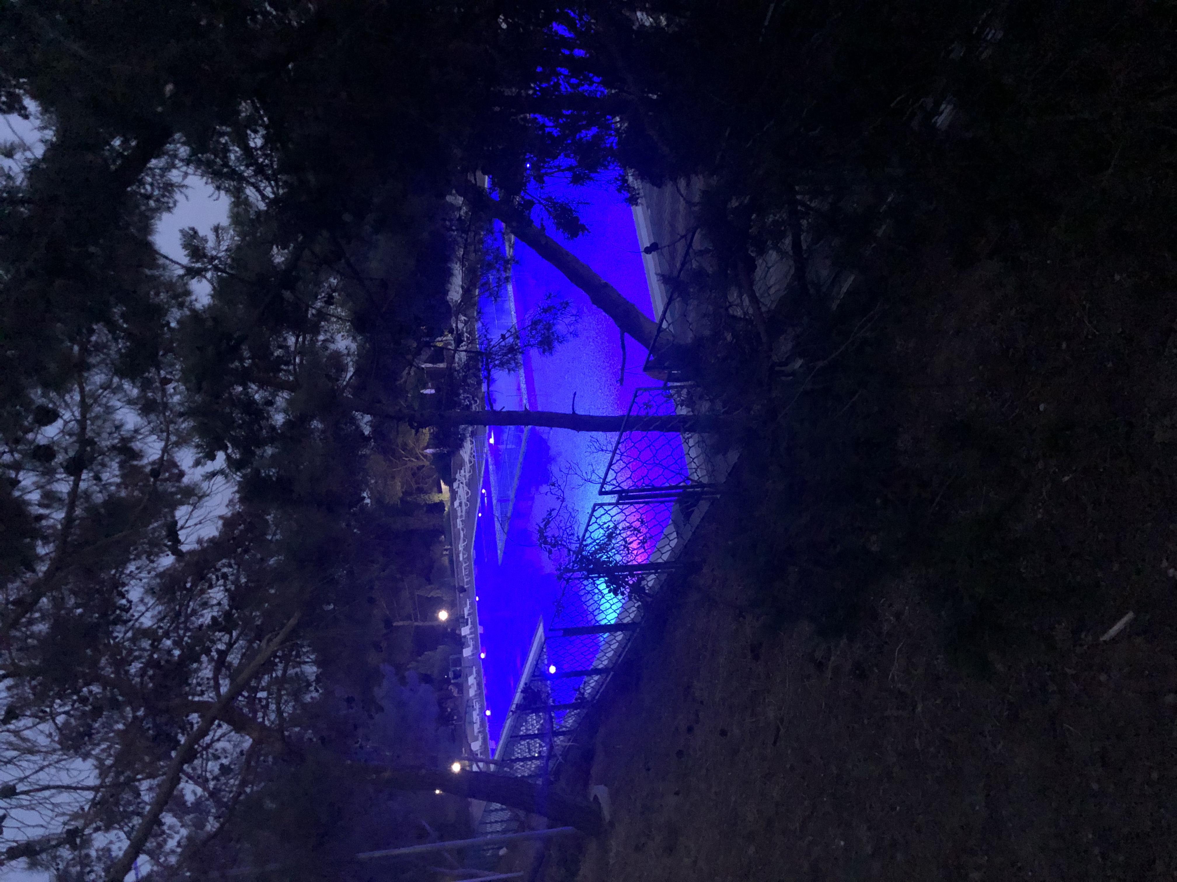 Фото ТОК Судак