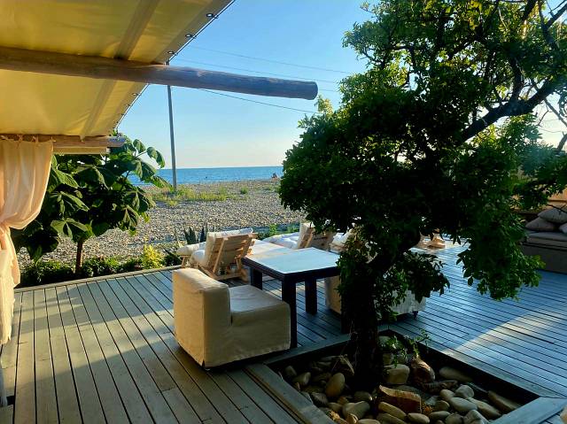 Фото Звезда