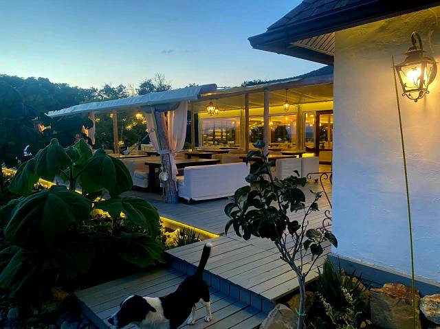 Фото Звезда