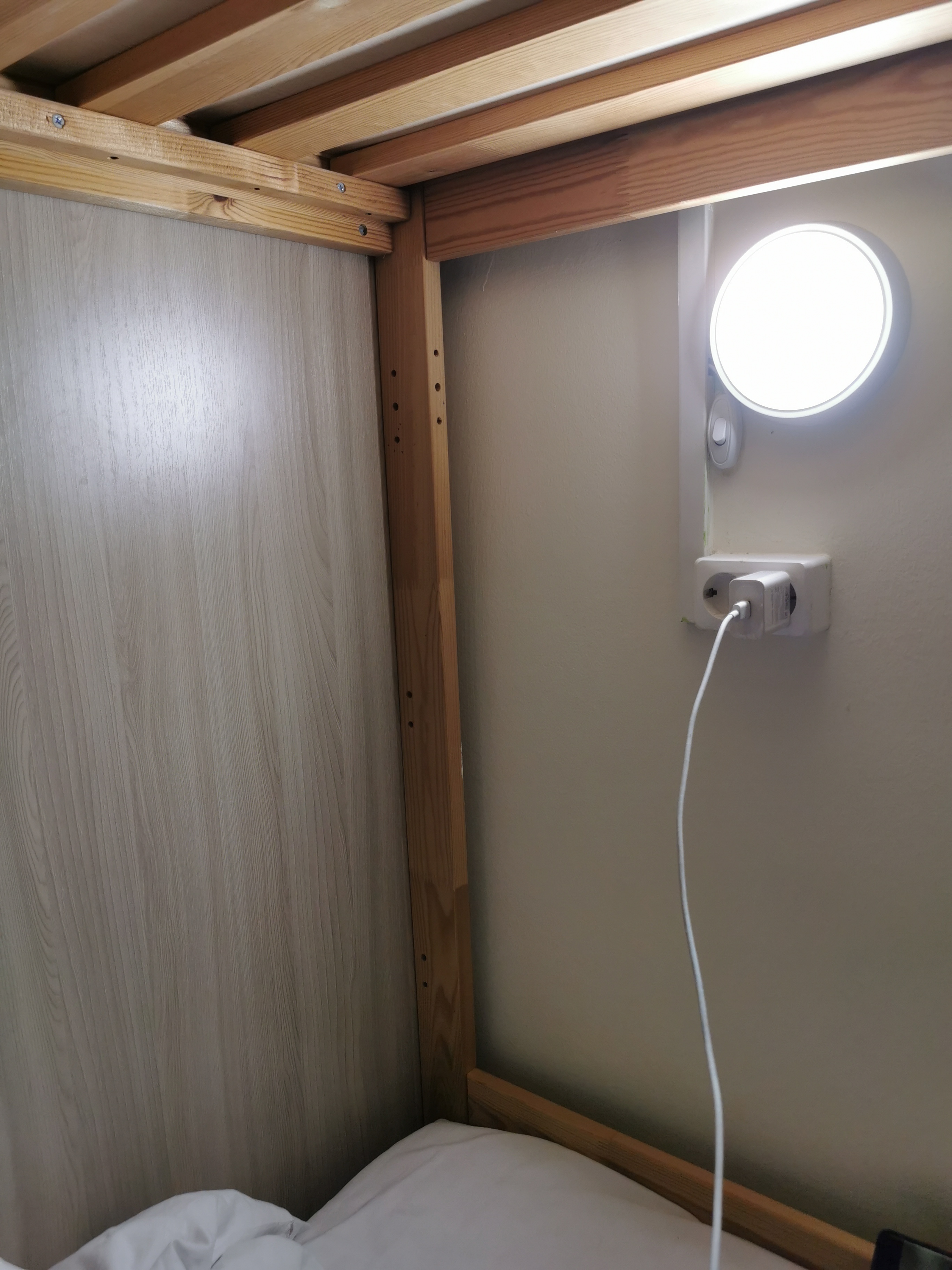 Фото Овсянка