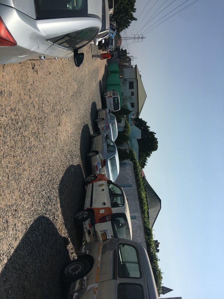 Organization and maintenance of exhibitions Dreams and memories, Earth, photo