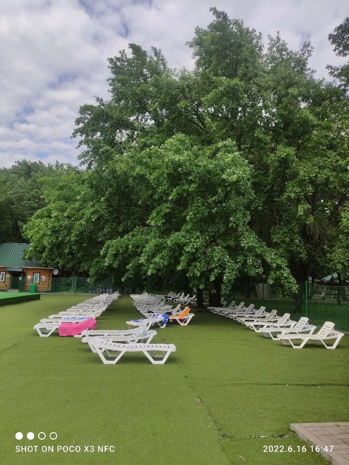 Фото Дубрава