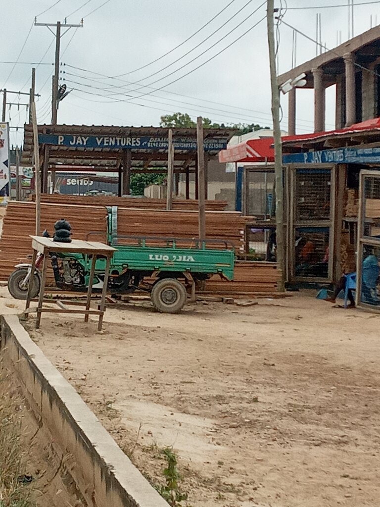 Logging, timber sales P Jay ventures, Earth, photo