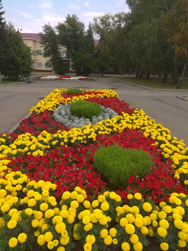 Администрация Администрация Топчихинского района Алтайского края, Алтайский край, фото