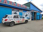 Palmira (Ugdanskiy proyezd, 20), automotive enamels, car paints