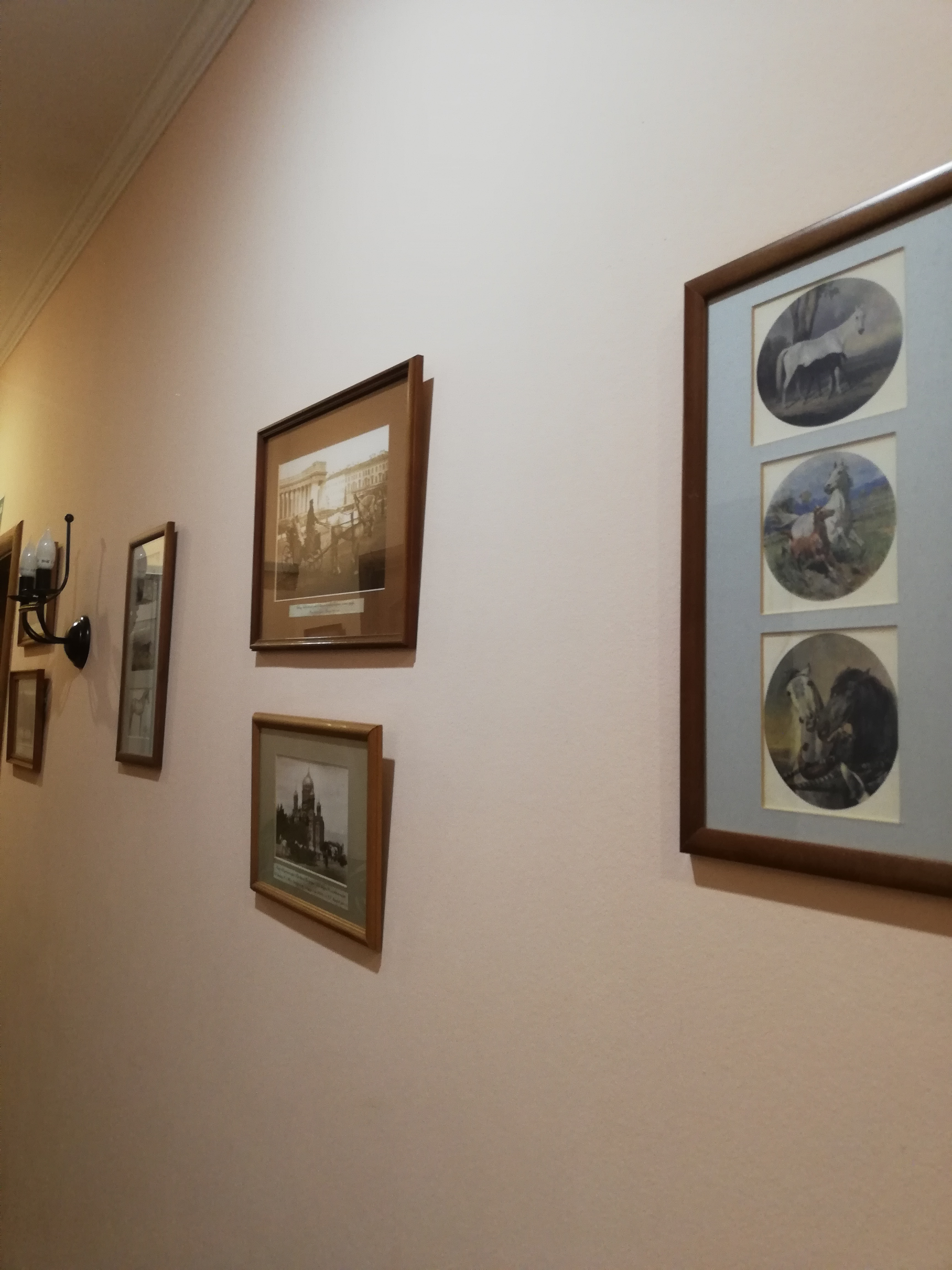 Фото Холстомер