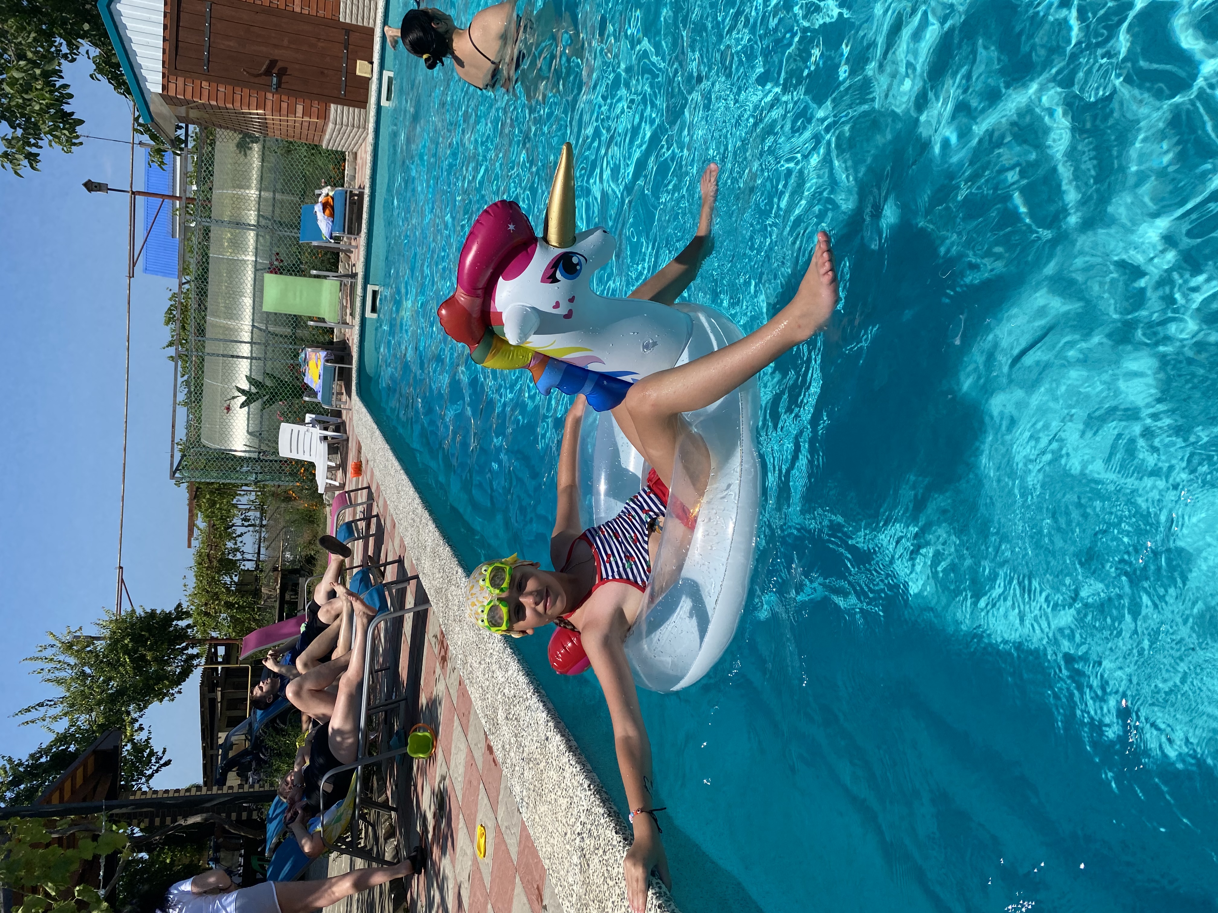 Фото Белая берёза