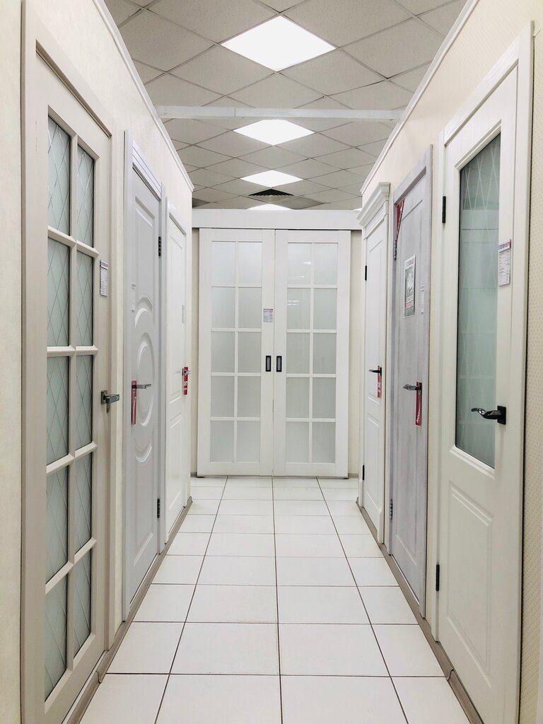 Doors Gektor, Kazan, photo