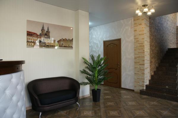 Фото Ленивый тюлень