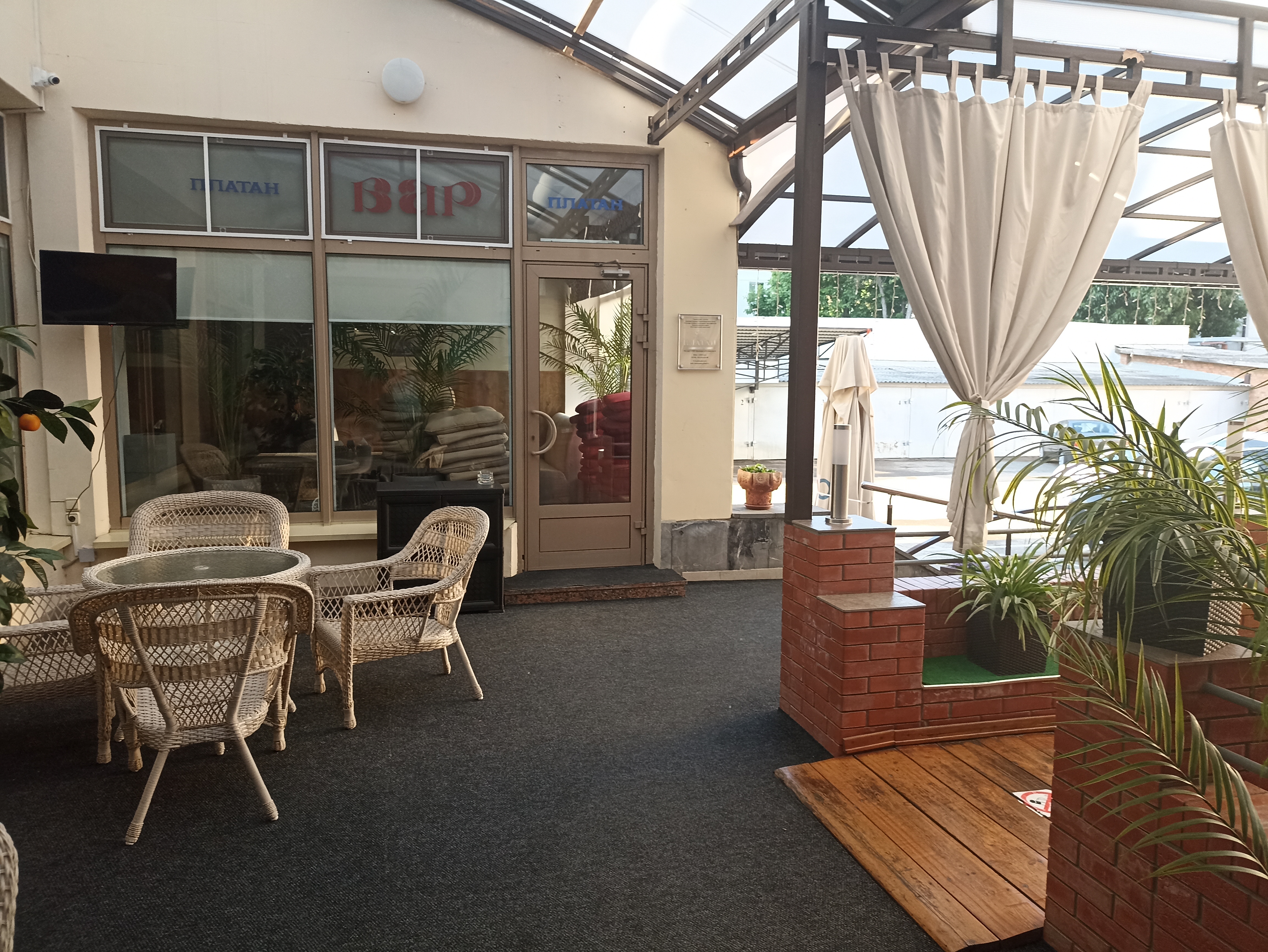 Фото Платан