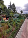 Tavush Sochi