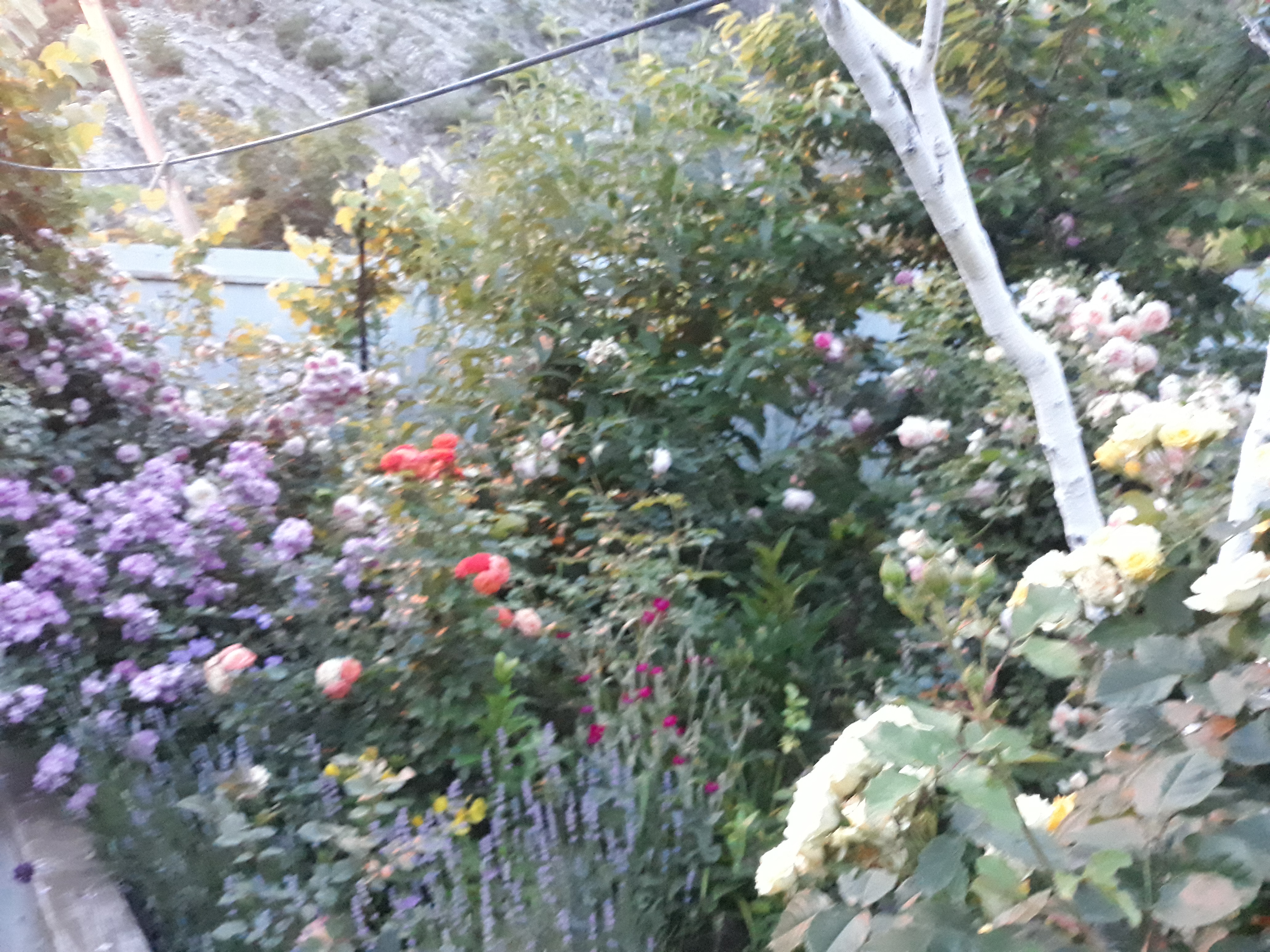 Фото Друзья