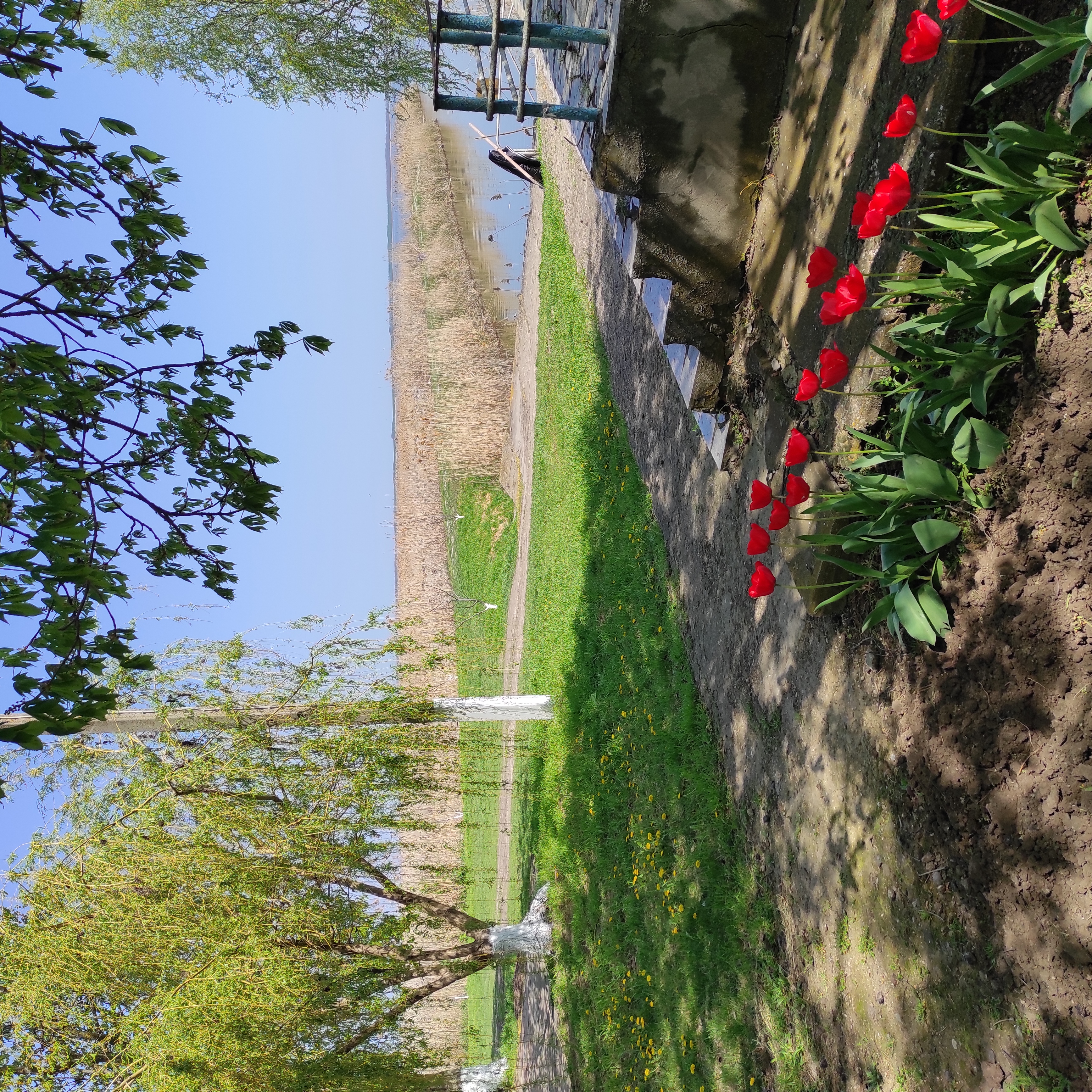 Фото Юность