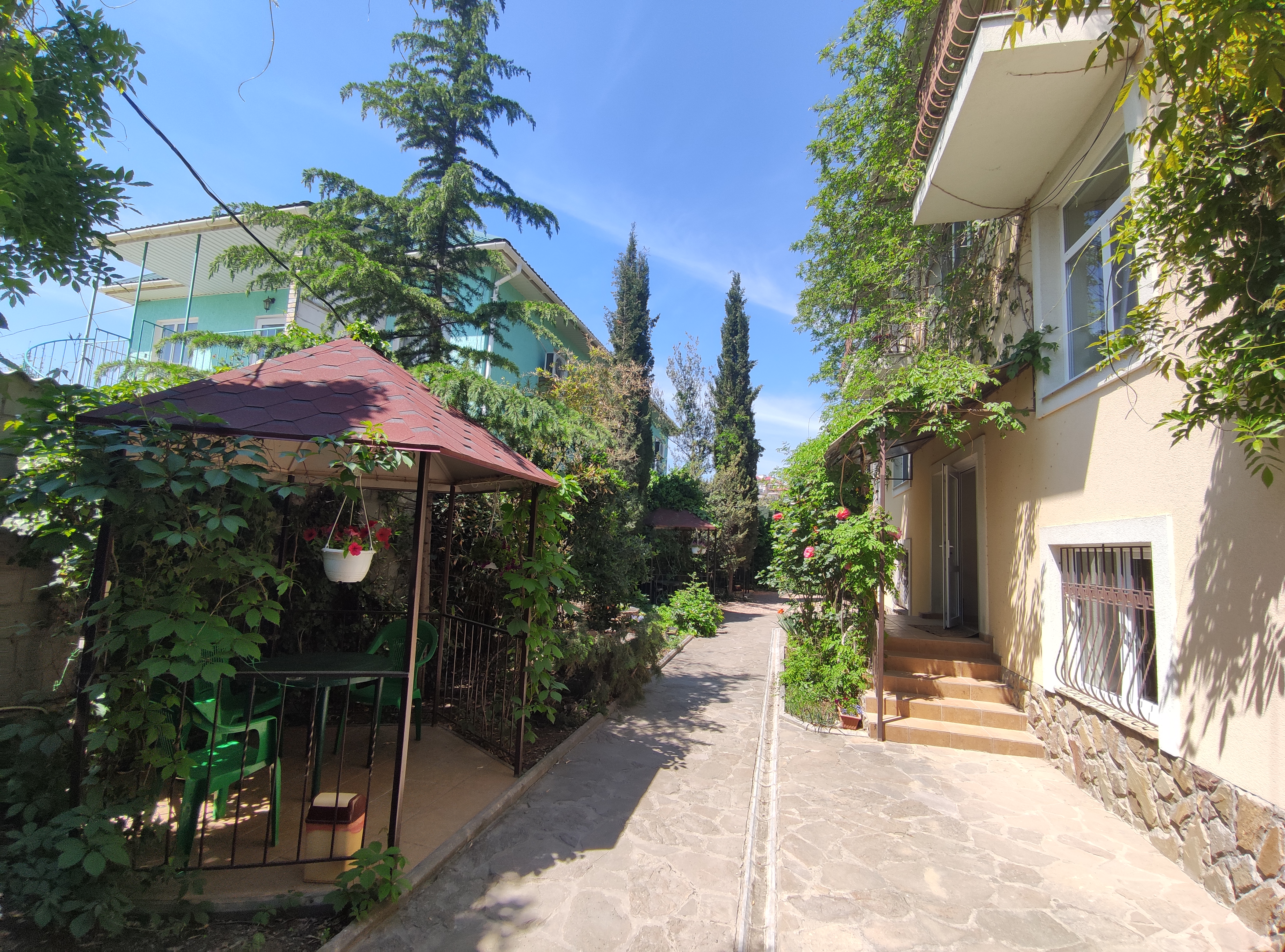 Фото Баттерфляй