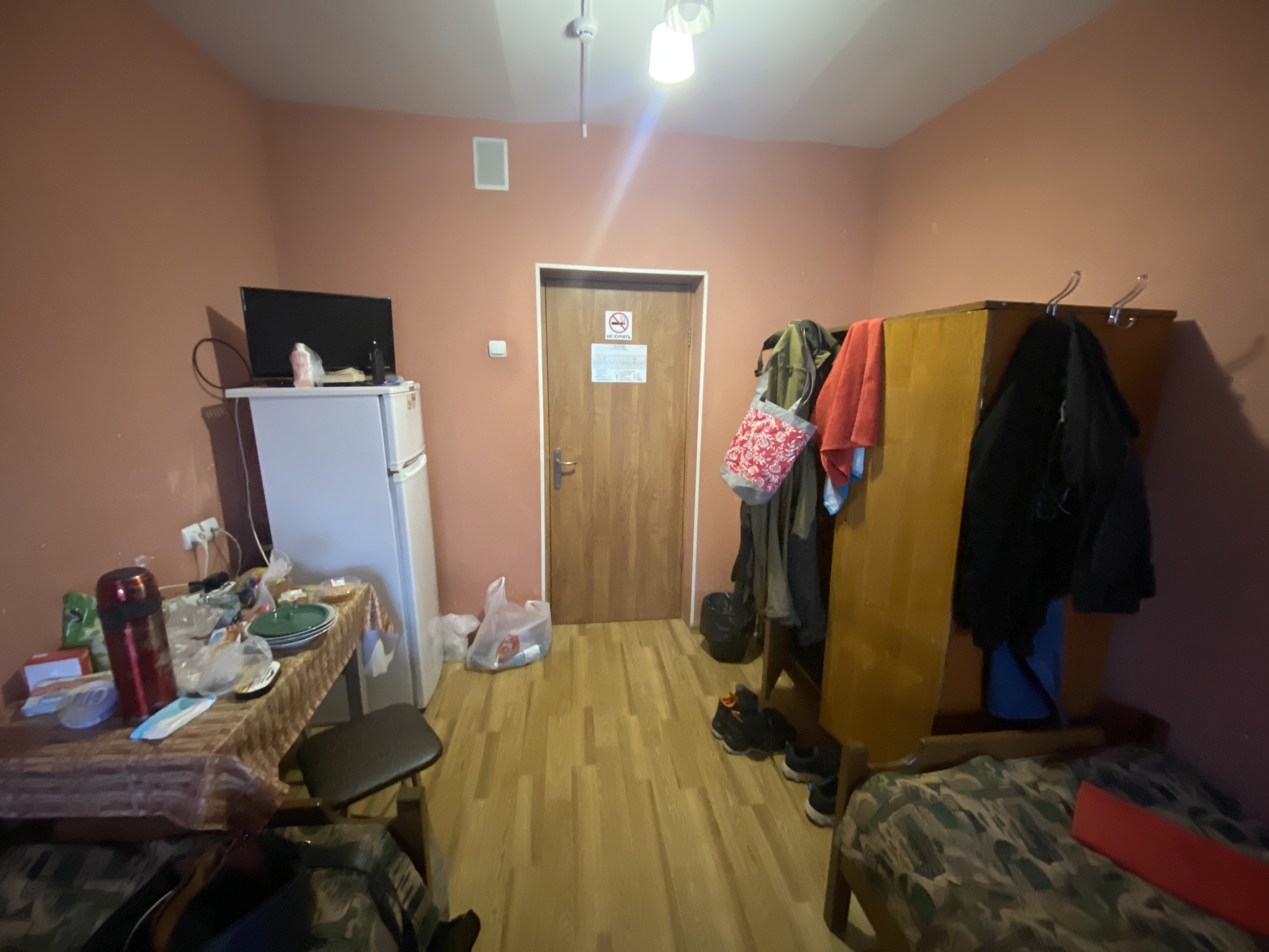 Фото Берёзка